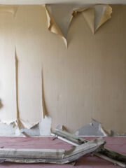 © Anna Positano | Studio Campo